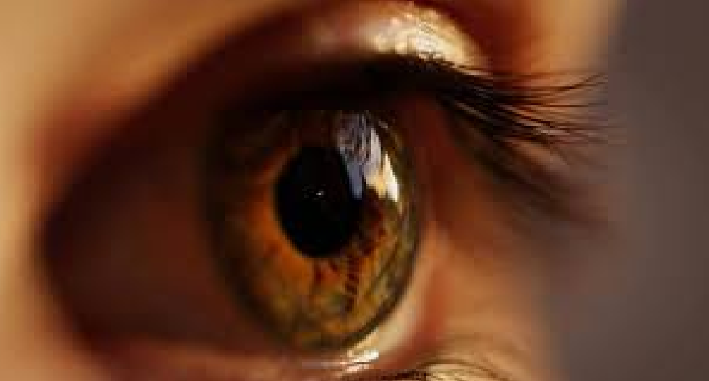 Tips for Eye Care